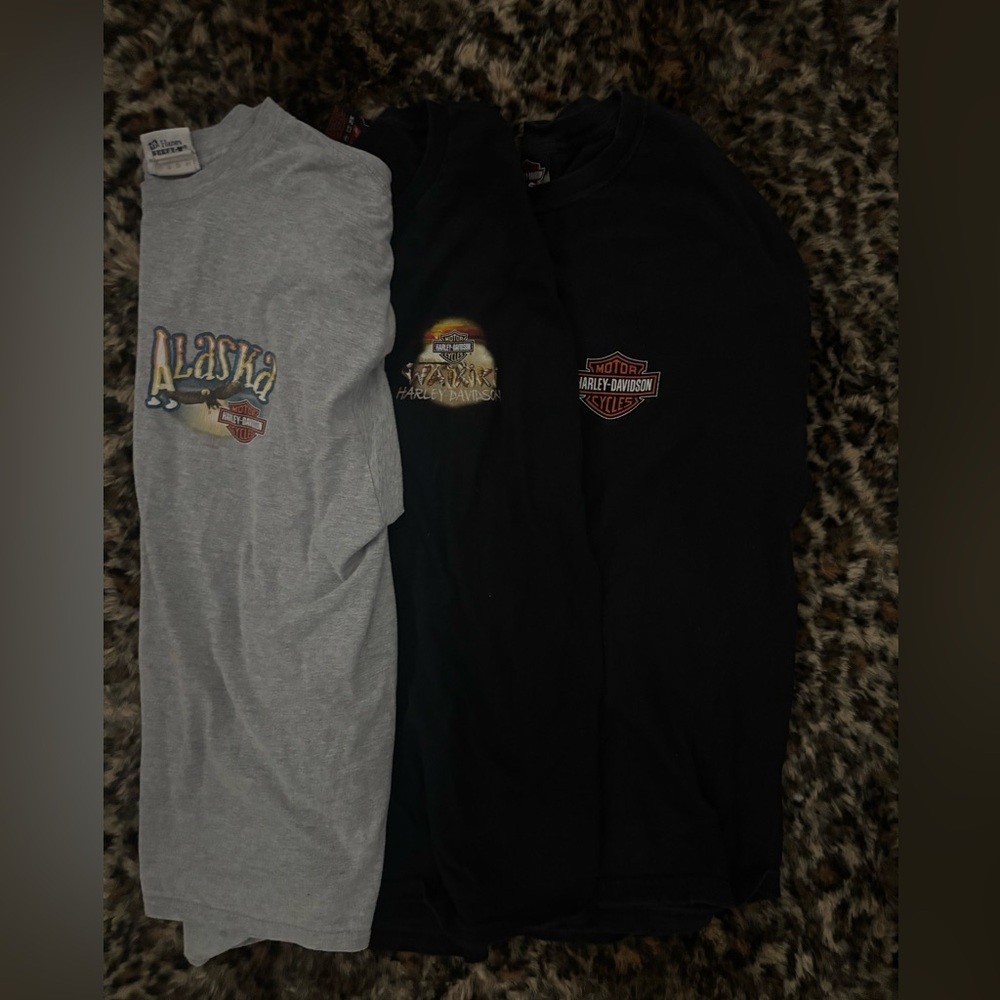 Harley-Davidson Graphic T-Shirts Set